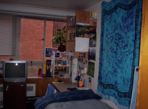 Dorm Room Tapestries