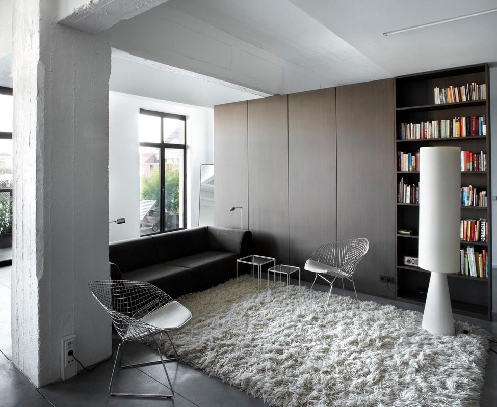 Grey and White Shag Rug