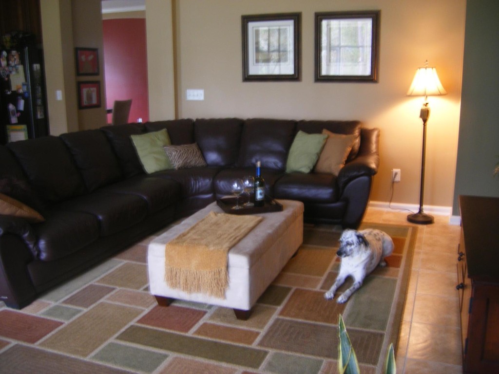 Throw Pillows for Brown Leather Sofa