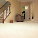 Best Carpet for Basement