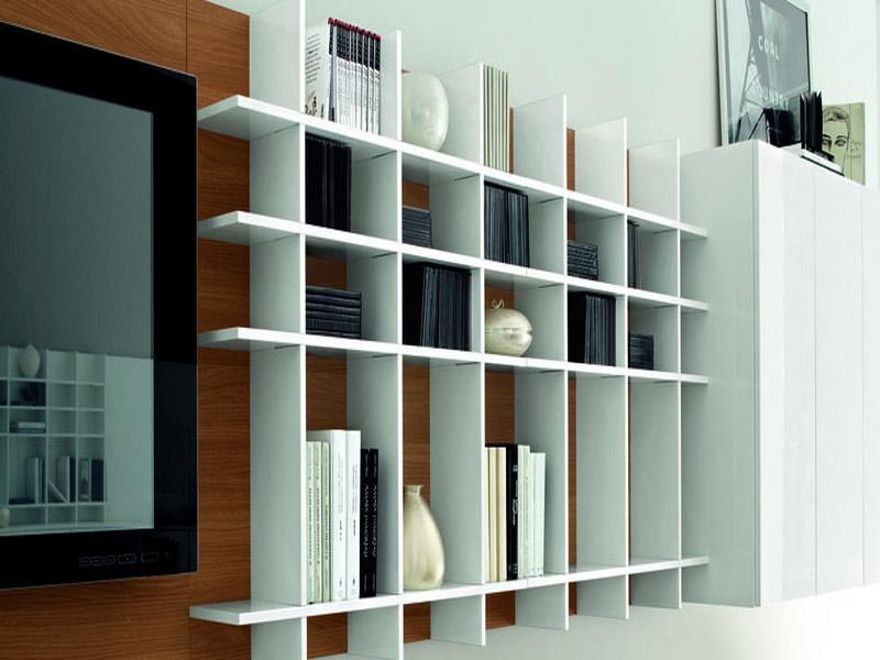 Wall Mounted Book Shelves