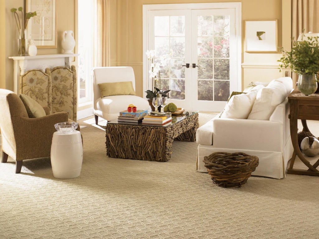 What is Best Berber Carpet